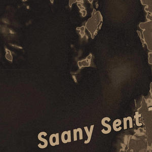 Saany Sent The Verse $ (Explicit)