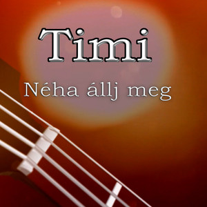 Néha állj meg