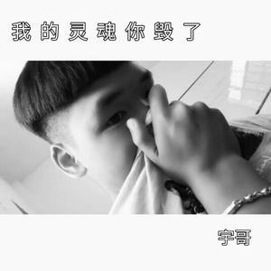 我的灵魂你毁了