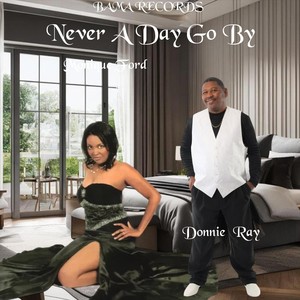 Never a Day Go By (feat. Donnie Ray)