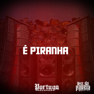 É PUTARIA PRA ELAS (Explicit)