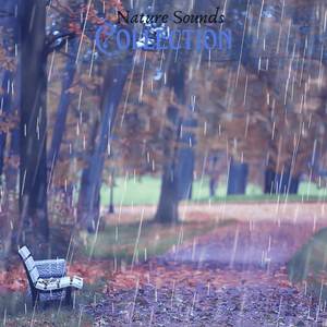 Nature Sounds Collection - Rippled Streets