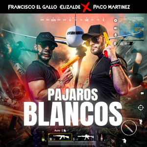 Pájaros Blancos