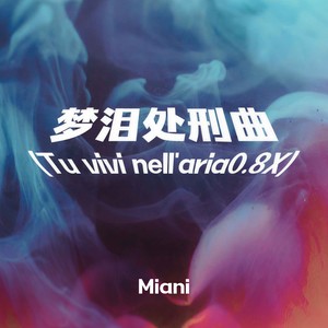 梦泪处刑曲 (Tu vivi nell'aria0.8X)