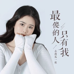 最傻的人只有我 (DJ版)