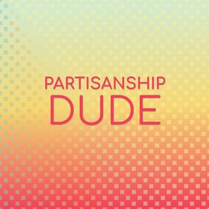 Partisanship Dude