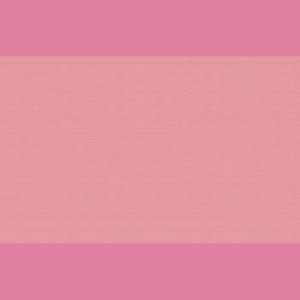 真的傻（弹唱）