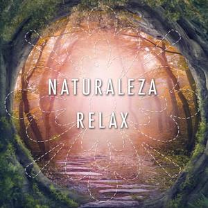 Naturaleza Relax: la Mejor Música Relajante para Dormir