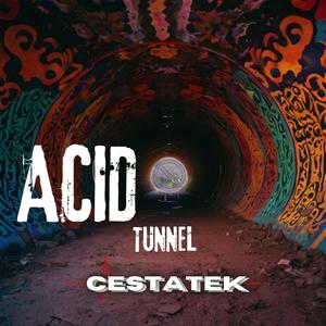 AcidTunnel
