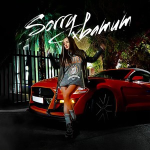 Sorry хватит (Explicit)