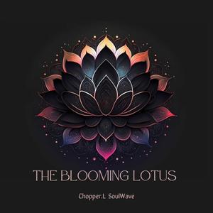 The Blooming Lotus