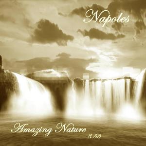 Amazing Nature