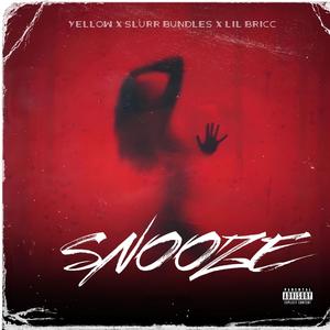 Snooze (feat. Slurr Bundle & Lil Bricc) (Explicit)