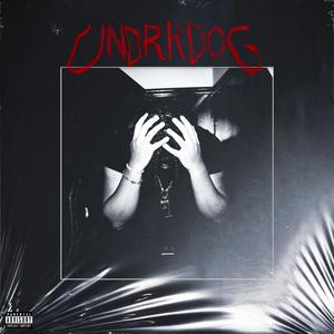 UNDRRDOG (Explicit)