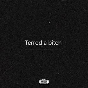 **** Terrod! (Throwaway) [Explicit]