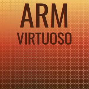 Arm Virtuoso