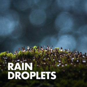 Calm Thunderstorm (Original Mix)