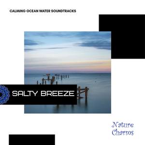 Salty Breeze - Calming Ocean Water Soundtracks