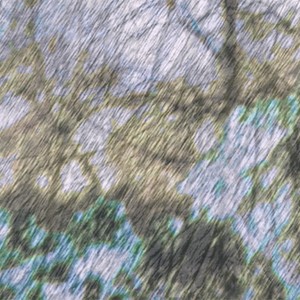 Aaron Brooks - Sweet Surpriser (Live)