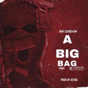 A BIG BAG (Explicit)