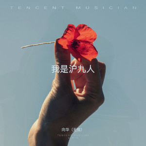 我是沪九人