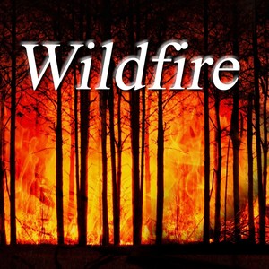 Wildfire (feat. Margaret Abbott & Alfonso Llorente Sardi)