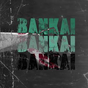 Bankai (feat. Kiddboom) [Explicit]