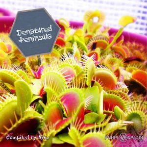 Another Freak (Original Mix)