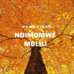 Ndimomwe mulili