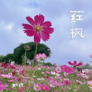 我听过你的歌
