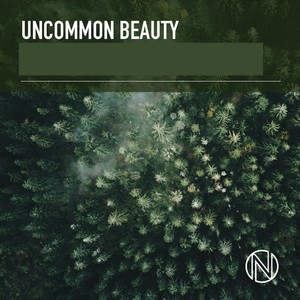 Uncommon Beauty