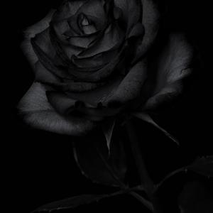 Valentine Is You Mine Pt.2(reloaded)