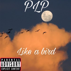 Like a bird (freestyle|Explicit)
