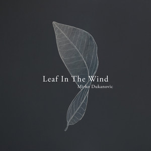 Leaf In The Wind