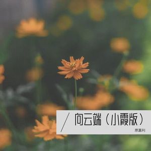 向云端（小霞版）