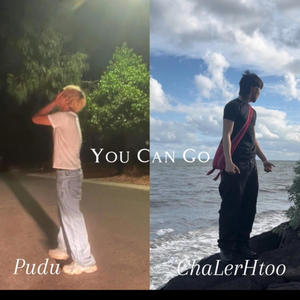 You Can Go (feat. Pudu)