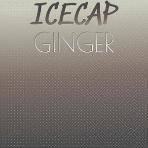 Icecap Ginger