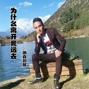 为什么离开我远去