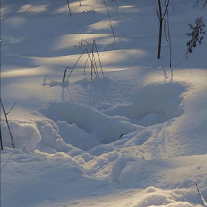 Dance Monkey (潮流舞蹈Bgm)