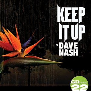 Keep It Up (Flaming Soul Deep Remix)