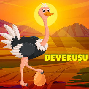 Devekuşu