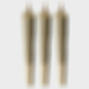 zooted up (Explicit)