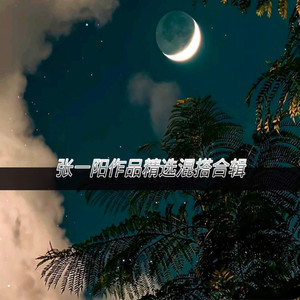 夜猫 (DJ张一阳版)