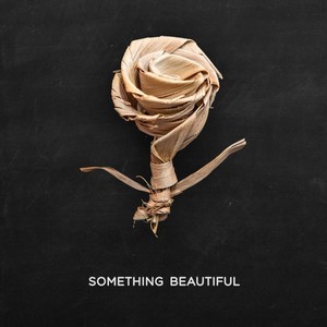 Something Beautiful (Explicit)