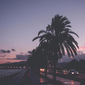 Eden /2014/ (Explicit)