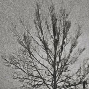 can you see me (winter)