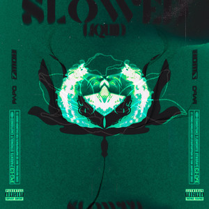 Slowed Água Boa