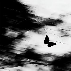 雨纷纷 旧故里草木深 (律动版)