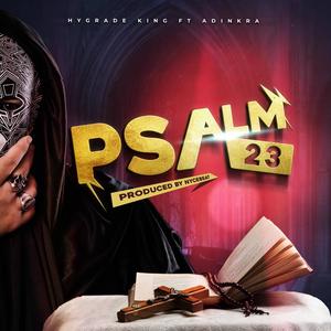 Psalm 23 (feat. Adinkra)