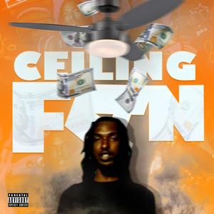 Ceiling Fan (Explicit)